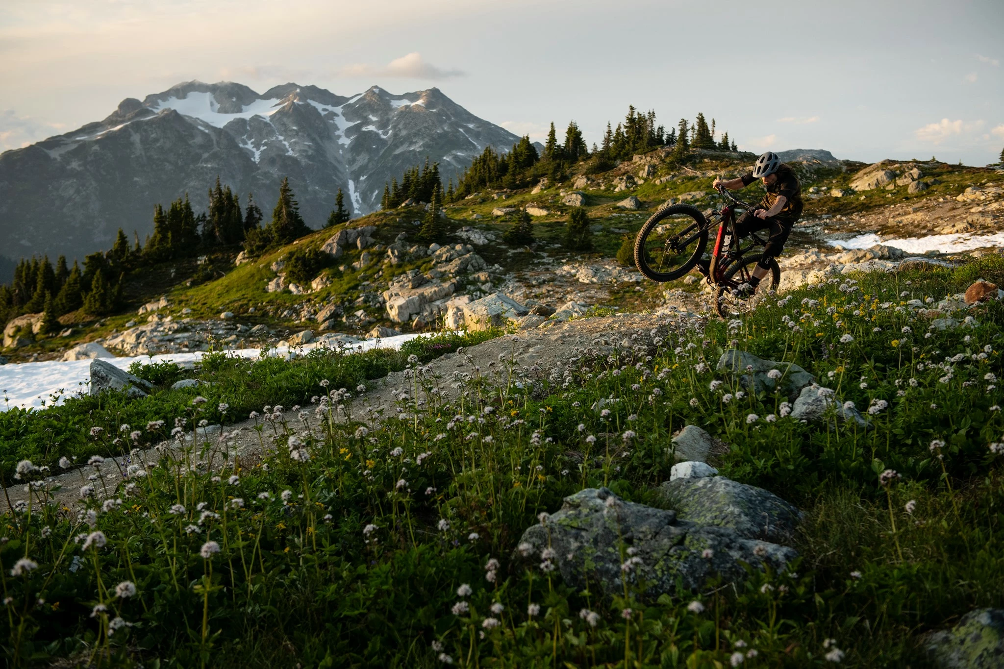 Fahrräder und Zubehör Verkaufsladen -Fahrräder und Zubehör Verkaufsladen 138833026 3900783003286037 1495557090856288130 n