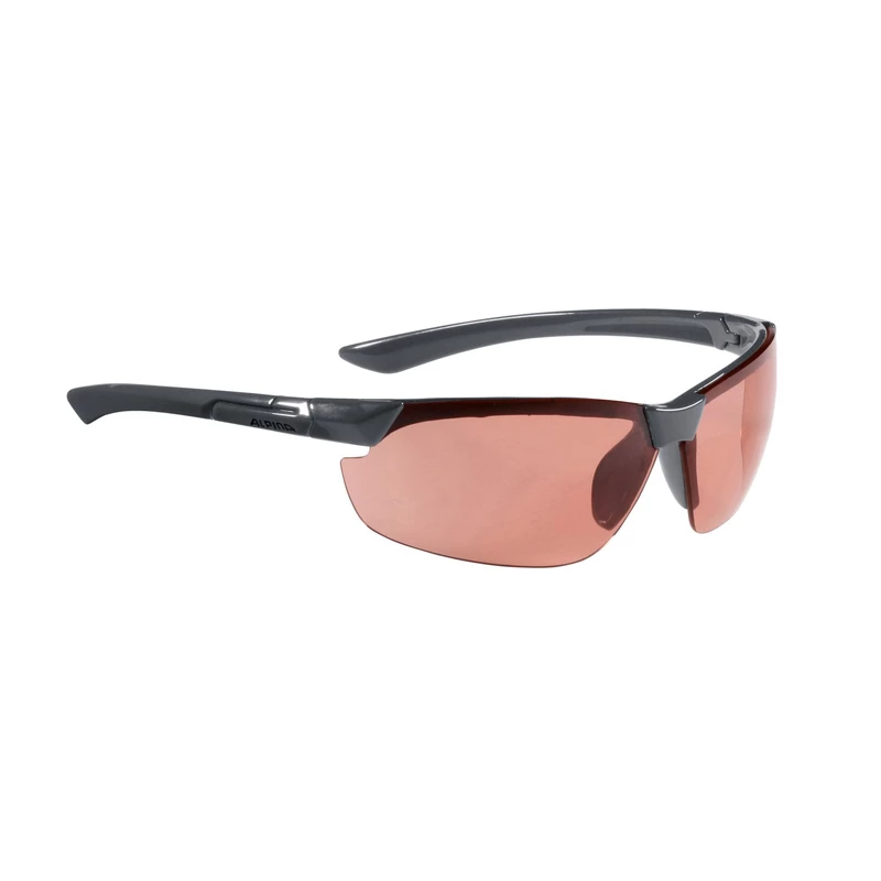 Alpina Sonnenbrille Draff 2 Alpina Sonnenbrille Draff – Bild 2