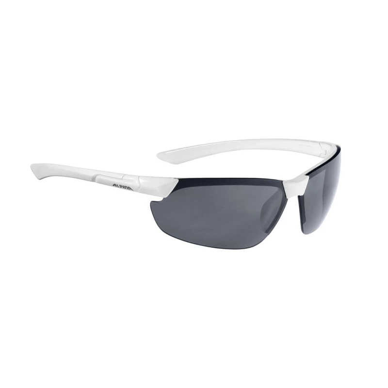 Alpina Sonnenbrille Draff 3 Alpina Sonnenbrille Draff – Bild 3