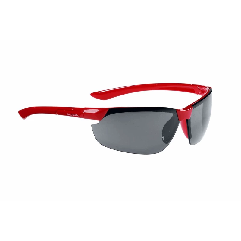 Alpina Sonnenbrille Draff 5 Alpina Sonnenbrille Draff – Bild 5