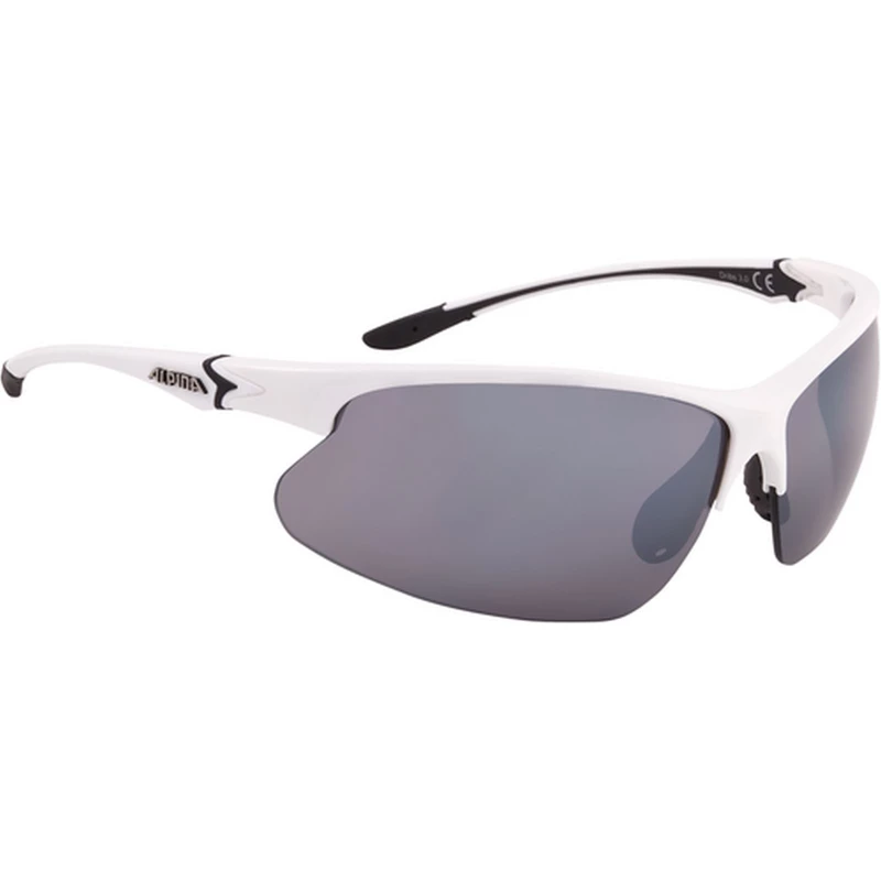 Alpina Sonnenbrille Dribs 3.0 2 Alpina Sonnenbrille Dribs 3.0 – Bild 2