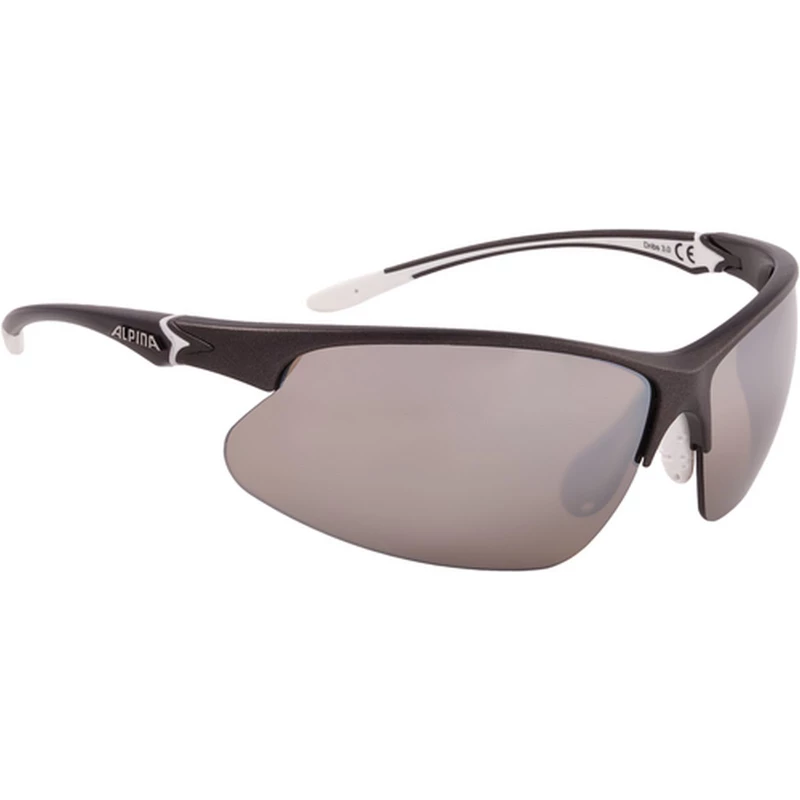 Alpina Sonnenbrille Dribs 3.0 3 Alpina Sonnenbrille Dribs 3.0 – Bild 3