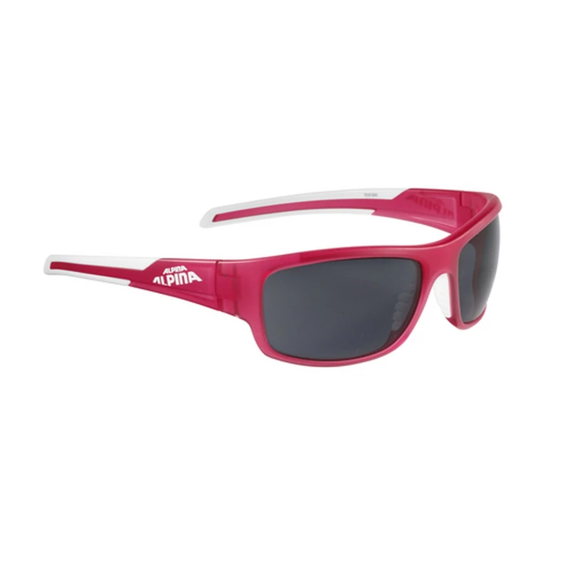 Alpina Sonnenbrille Testido 3 Alpina Sonnenbrille Testido – Bild 3