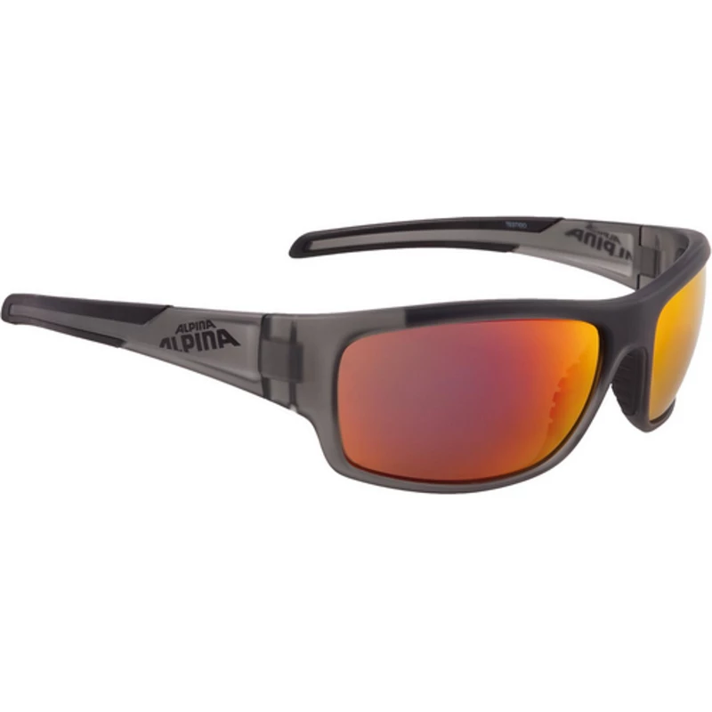 Alpina Sonnenbrille Testido 6 Alpina Sonnenbrille Testido – Bild 6