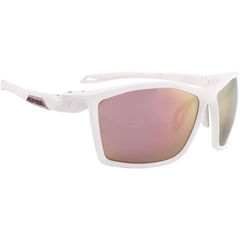 Alpina Sonnenbrille Twist Five CM+ 1 Alpina Sonnenbrille Twist Five CM+