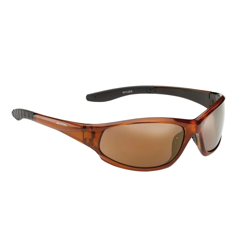 Alpina Sonnenbrille Wylder 3 Alpina Sonnenbrille Wylder – Bild 3