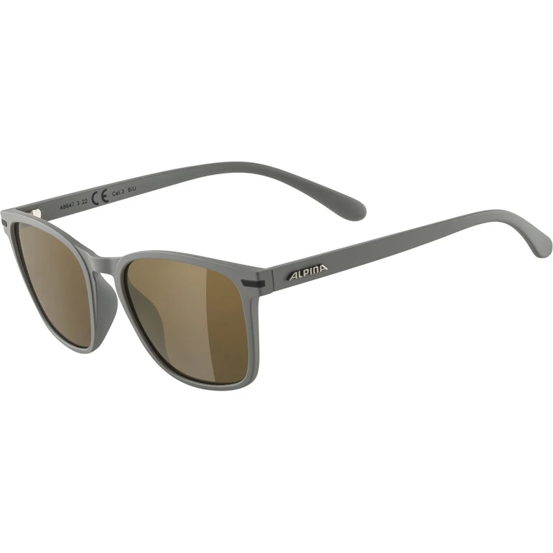 Alpina Sonnenbrille Yefe 2 Alpina Sonnenbrille Yefe – Bild 2